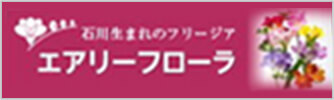 石川生まれのフリージア エアリーフローラ