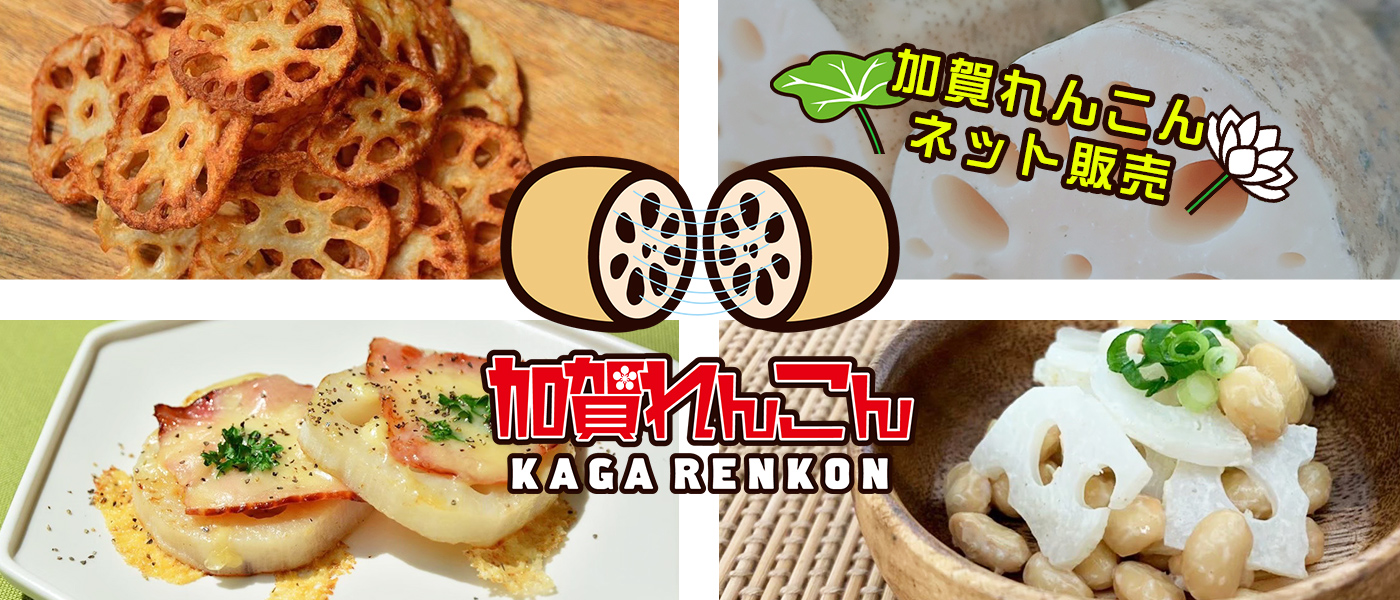 加賀れんこん　ネット販売