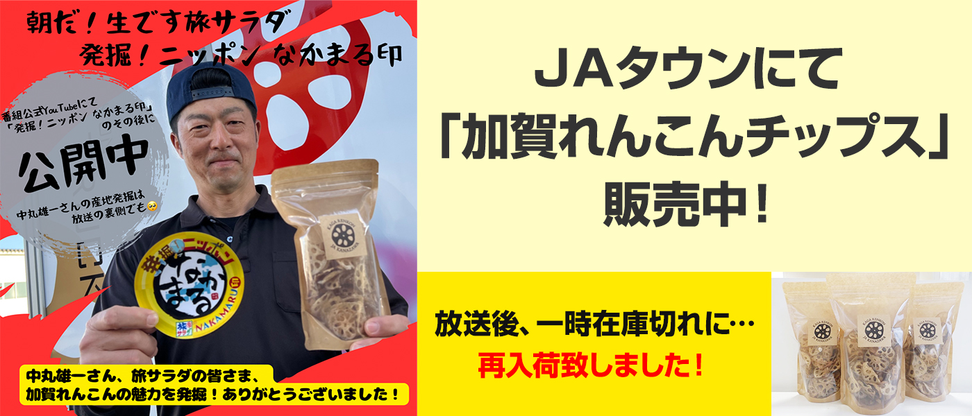ＪＡタウンにて 「 加賀れんこんチップス」販売中！
